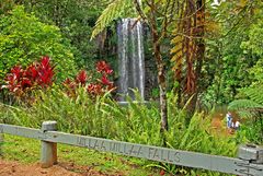 Millaa Millaa Falls