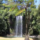 Millaa Millaa Falls