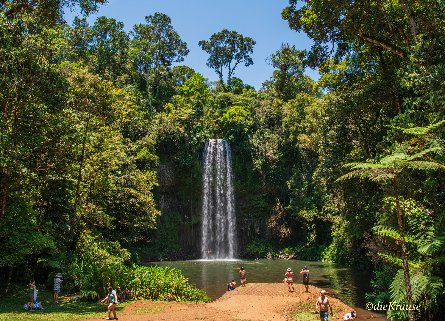 Millaa Millaa Falls 