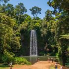 Millaa Millaa Falls 