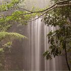 Millaa Millaa Falls