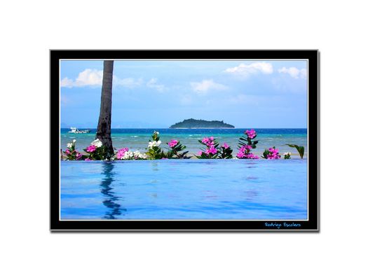 Mille colori mille profumi