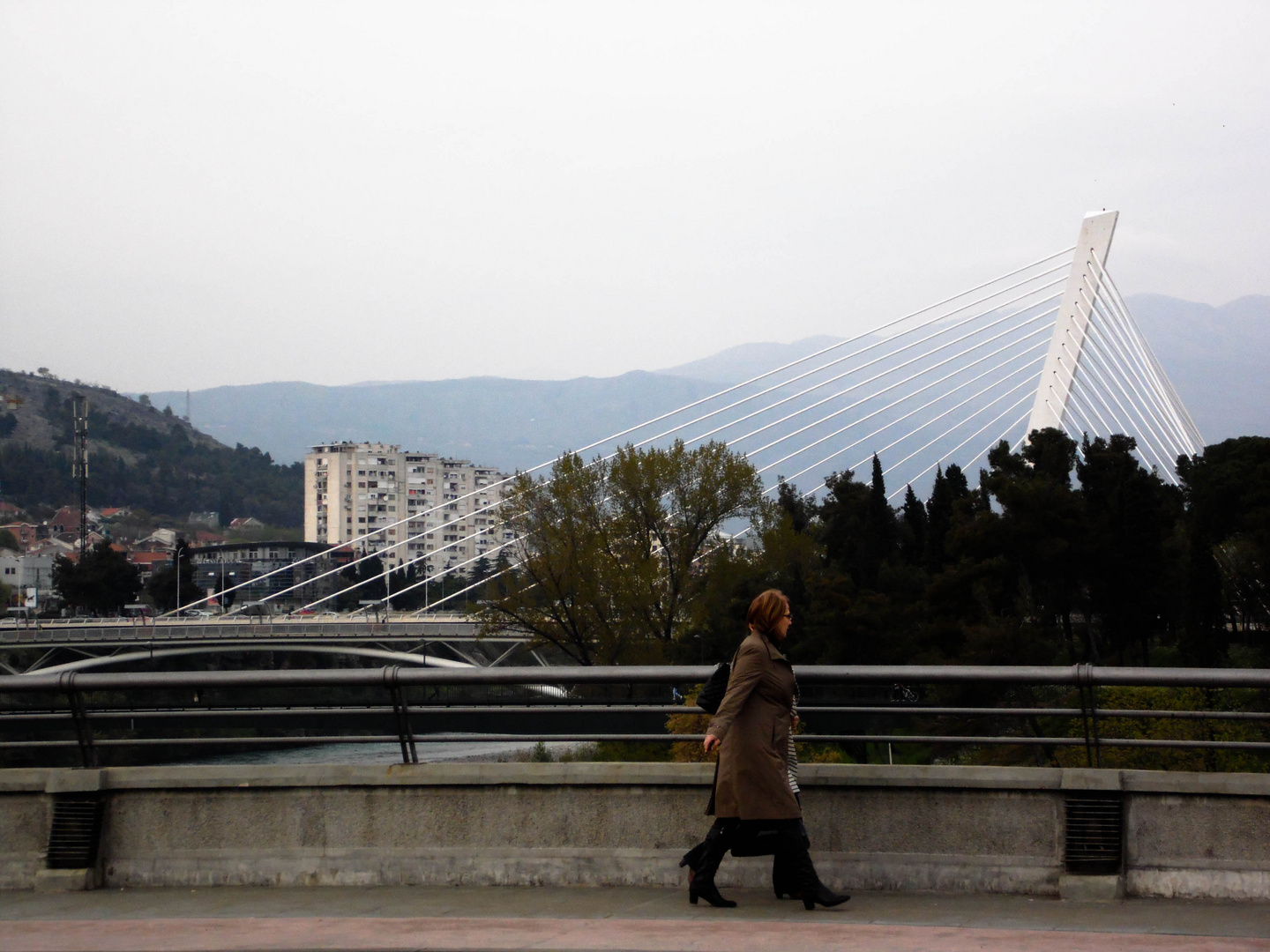 Millenium bridge