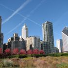 Millenium Park im Herbst