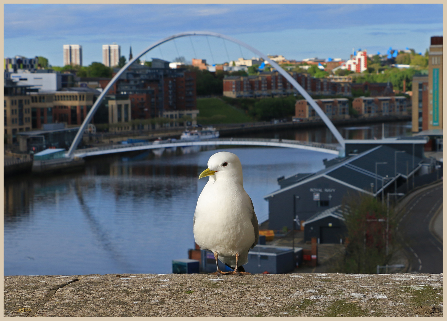 millennium bridge 4