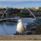 millennium bridge 4