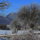 Milleschauer im Böhmischen Mittelgebirge im Winterkleid...