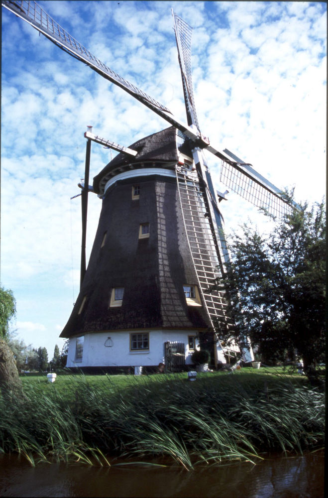 Mill.In Westland.Holland.