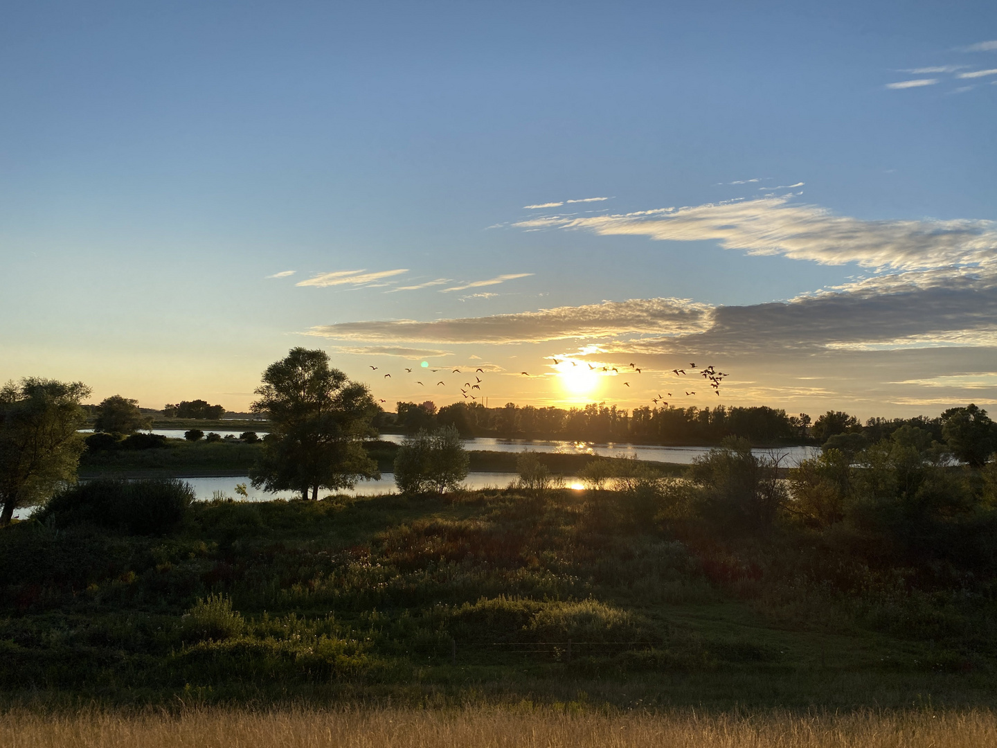 Millingerwaard in den Niederlanden