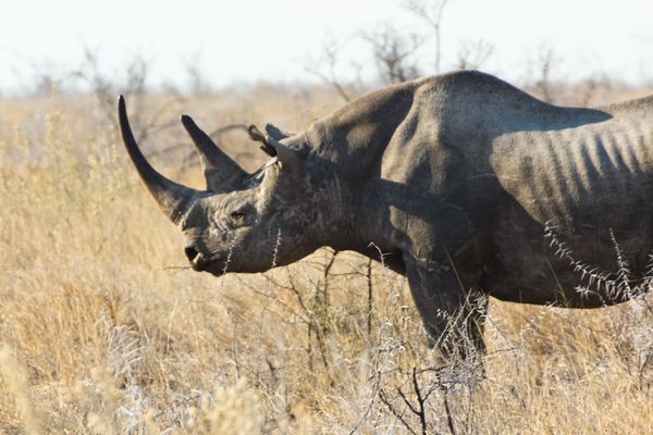 Million years of history...