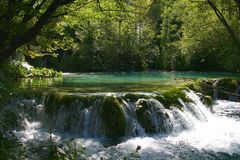 Millionen Wassertrofen purzeln herab.