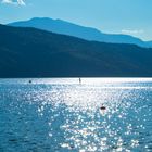 Millstättersee mit Sonnenspiegelung und SUP