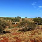 Millstream Chichester NP