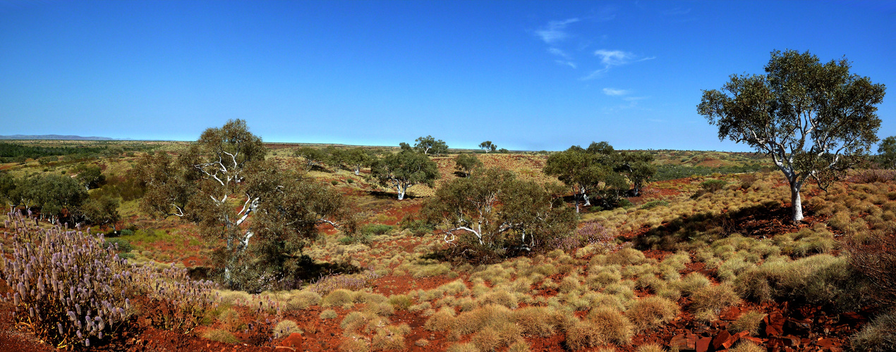 Millstream Chichester NP