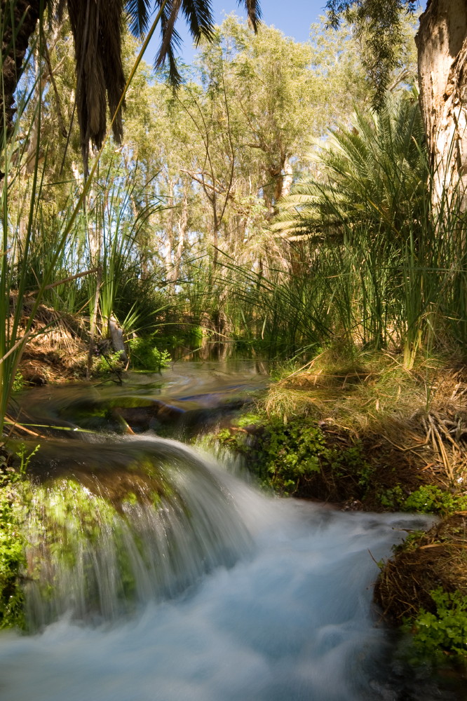 Millstream NP