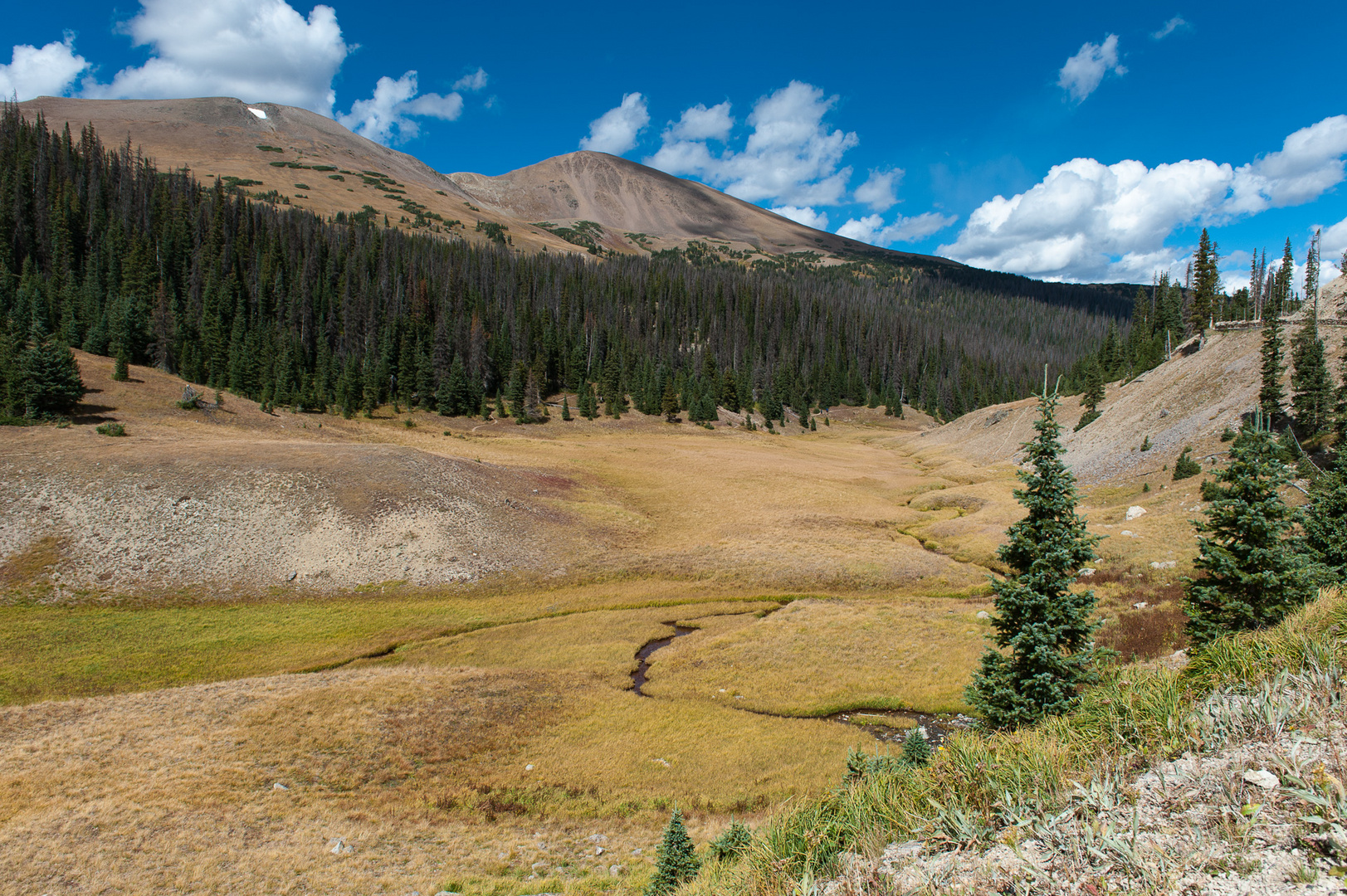 Milner Pass