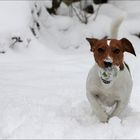 Milo the snowman