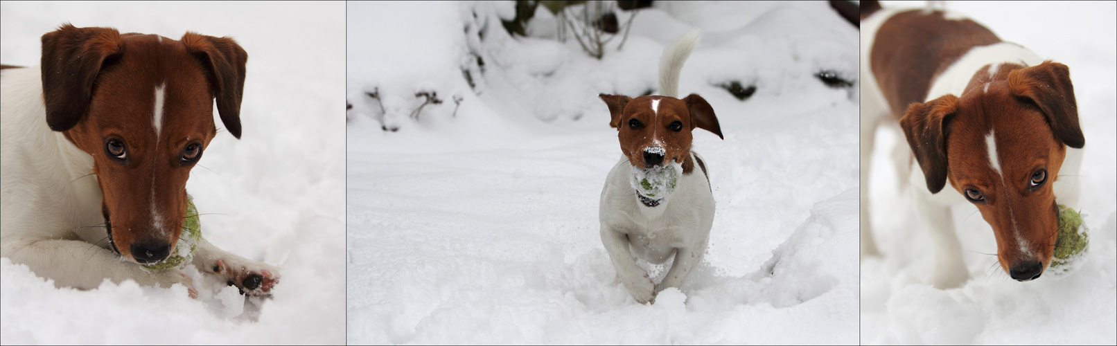 Milo the snowman