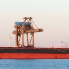 MILOS WARRIOR, Bulk Carrier, Calandcanal, Rotterdam.