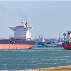 MILOS WARRIOR, Bulk Carrier, Rotterdam.