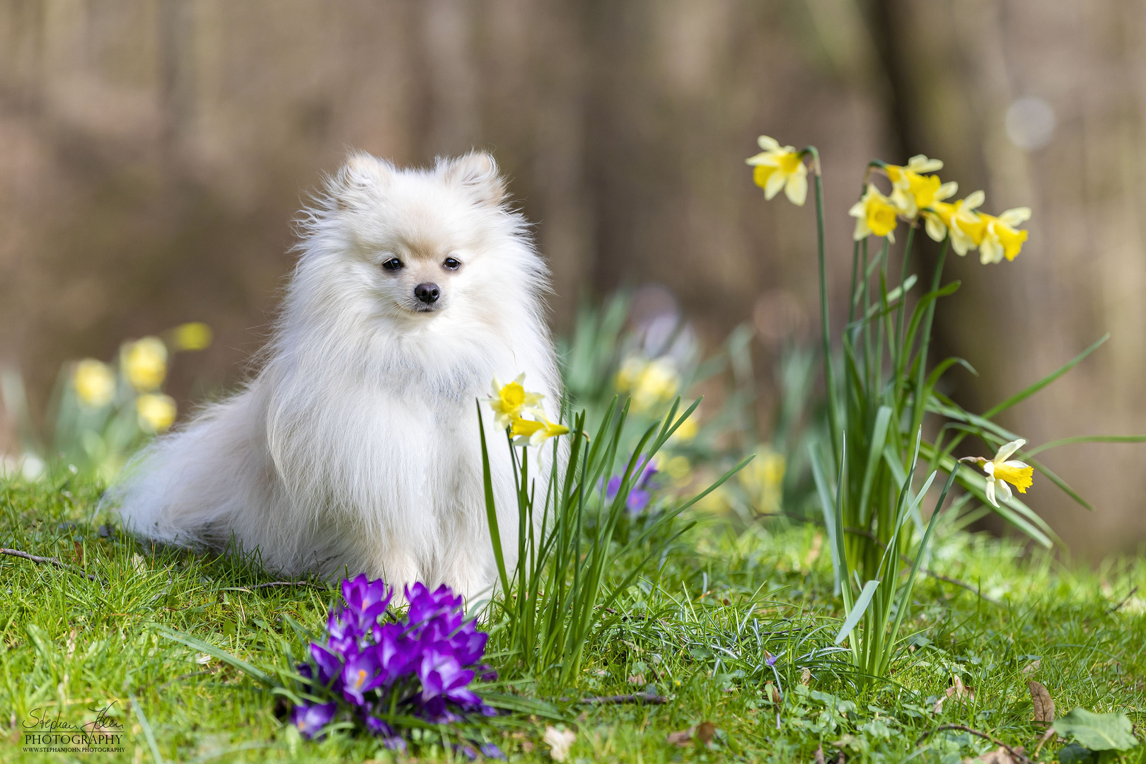 Milow im Park