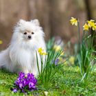 Milow im Park