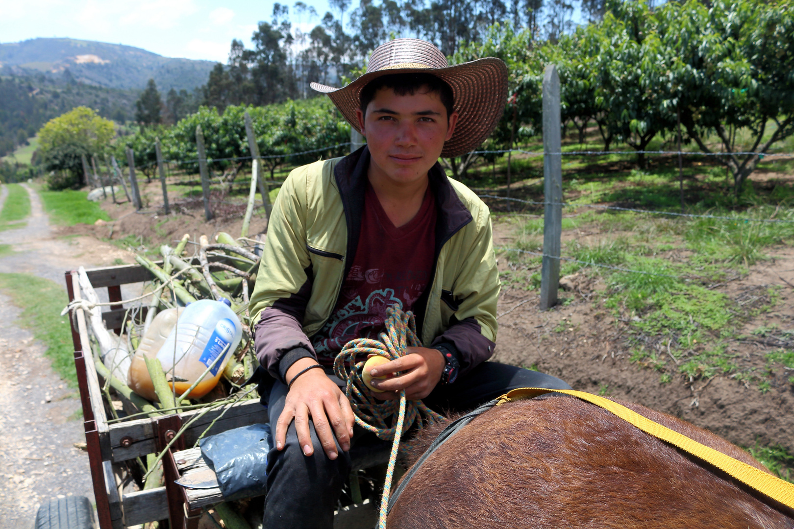 Milten, Boyaca