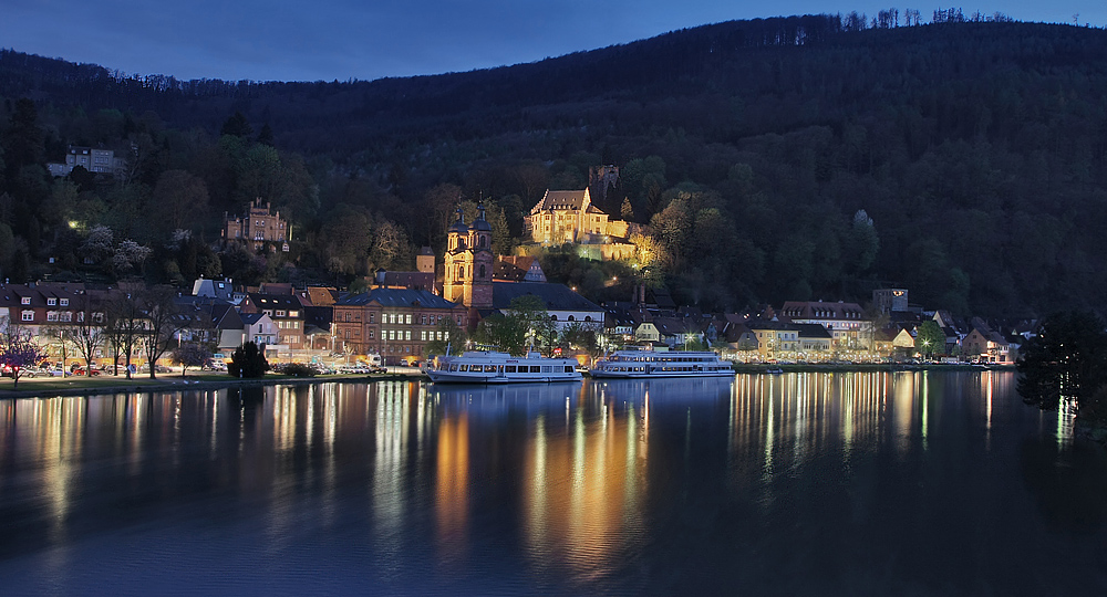 Miltenberg - Blick von der Mainbrücke 3