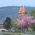 Miltenberg Mainbrücke