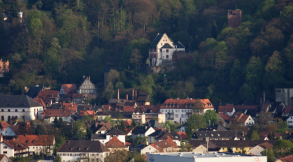 Miltenberg - Mildenburg