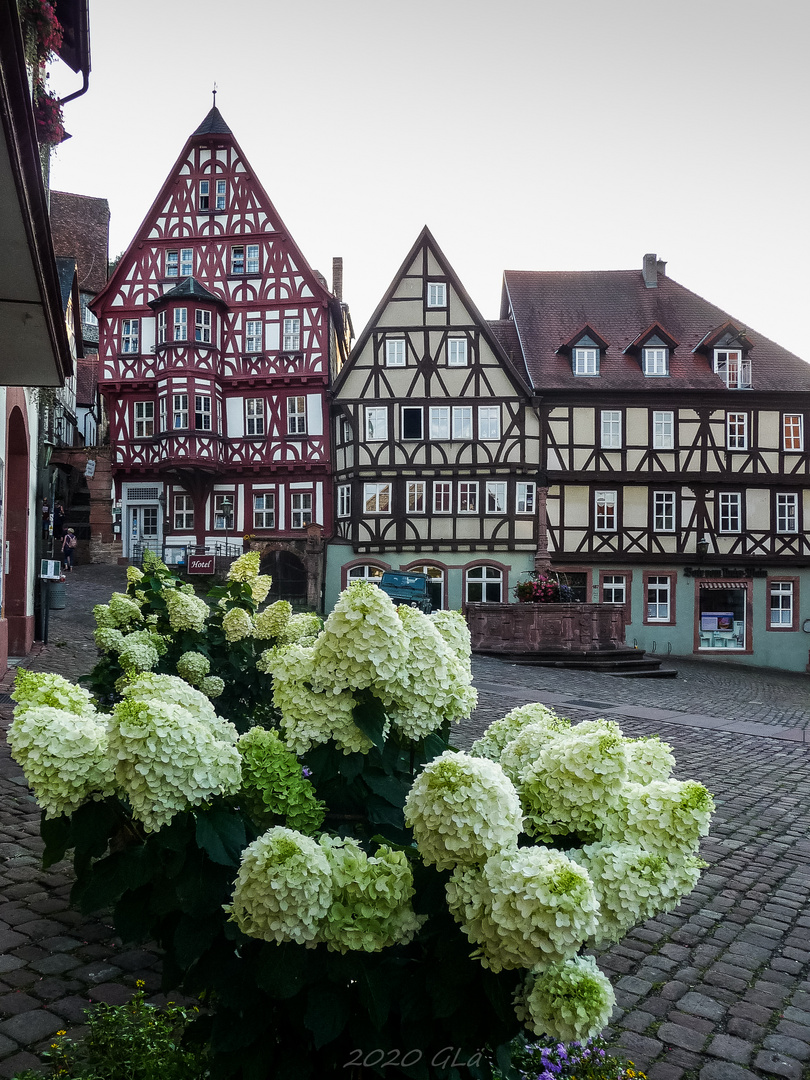 Miltenberg Schnatterloch Sommerabend