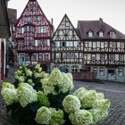 Miltenberg Schnatterloch Sommerabend