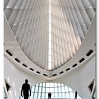 Milwaukee Art Museum 1