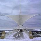 MILWAUKEE ART MUSEUM 1