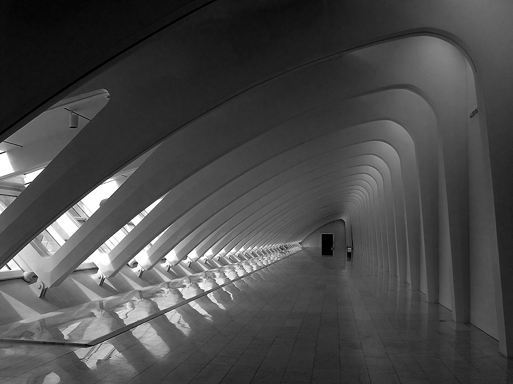 Milwaukee Art Museum, Milwaukee/ Wisconsin (Santiago Calatrava)