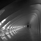 Milwaukee Art Museum, Milwaukee/ Wisconsin (Santiago Calatrava)