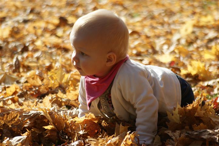 Mimi im Herbstlaub