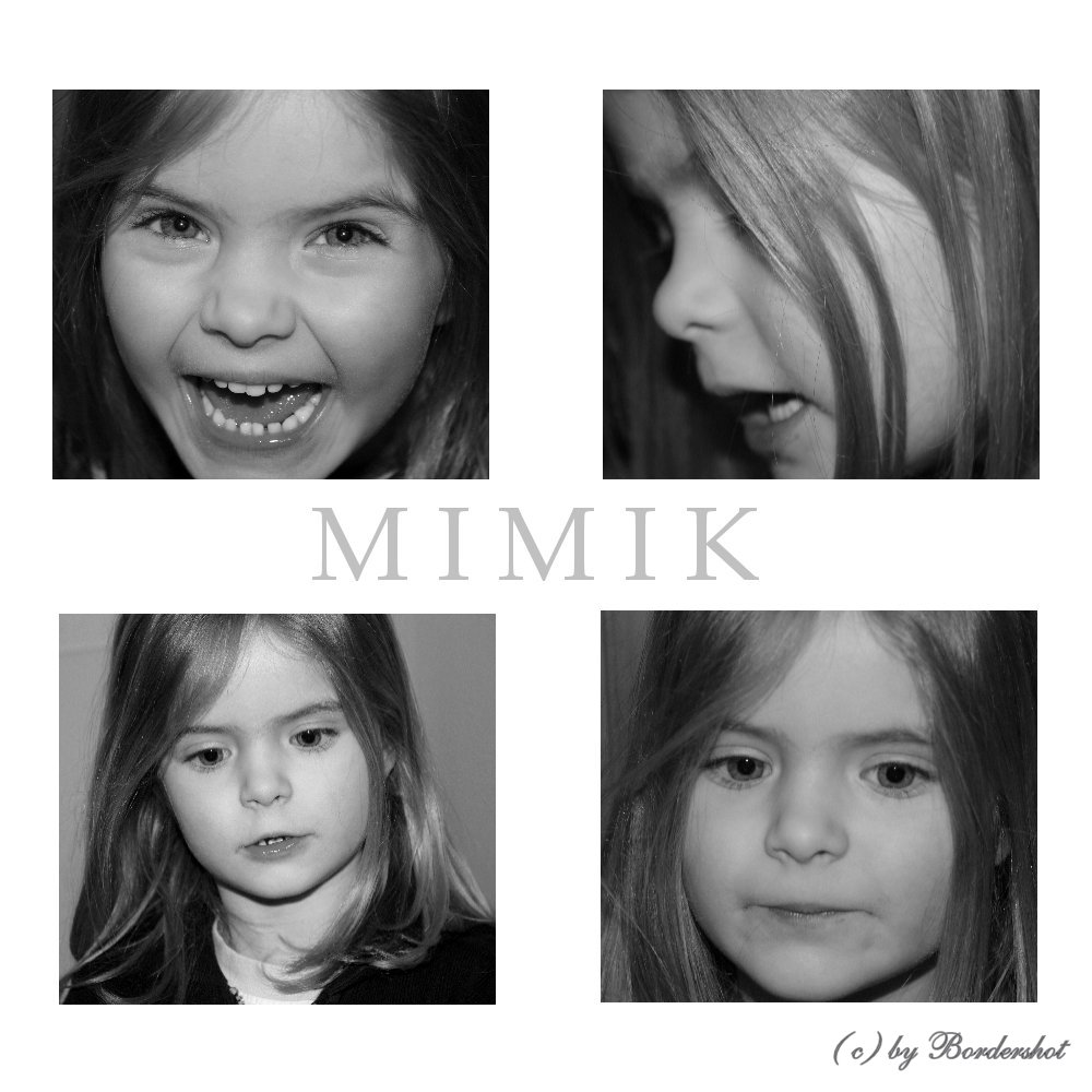 Mimik