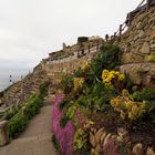 Minack Theatre ..... 