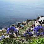 Minack Theatre