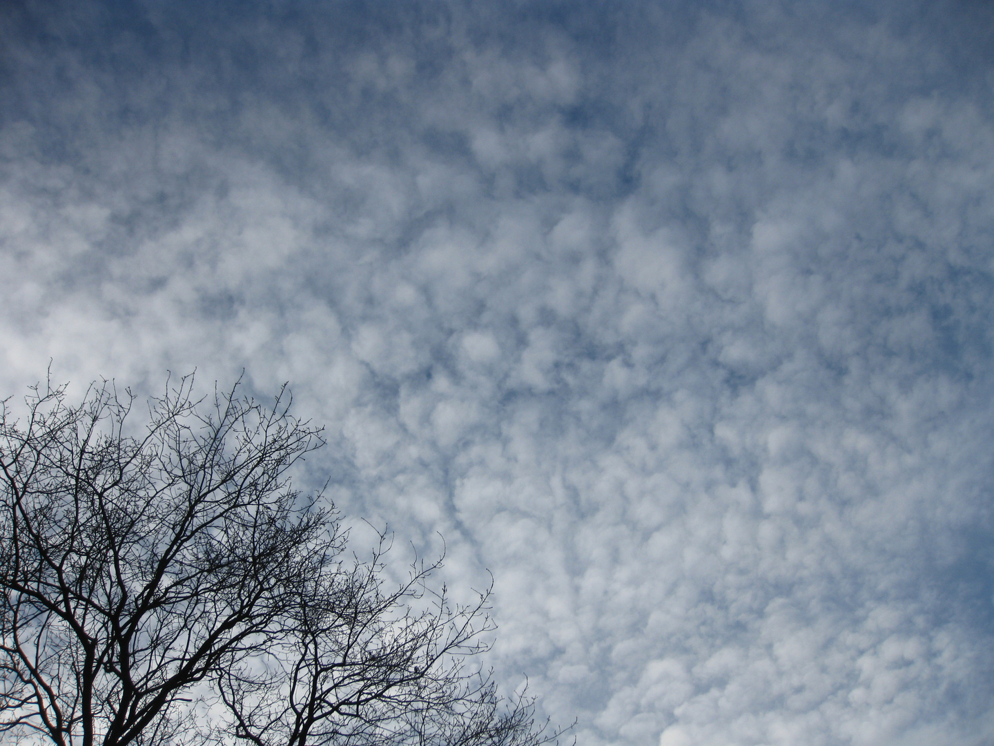 mince alors ! le ciel a envoyé le vent, récupérer ses flocons blancs