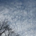 mince alors ! le ciel a envoyé le vent, récupérer ses flocons blancs