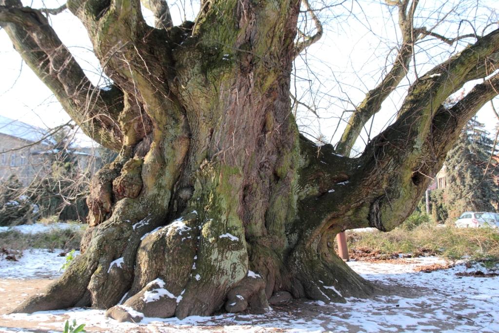 mind. 800 Jahre auf dem Buckel