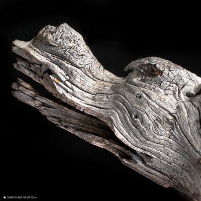 Mind and Matter 21-4