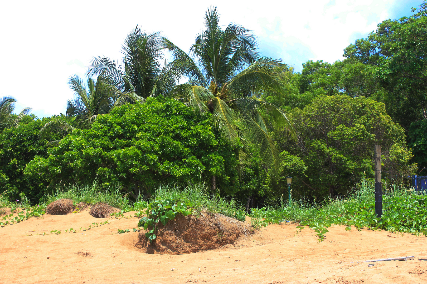 Mindil Beach, Darwin