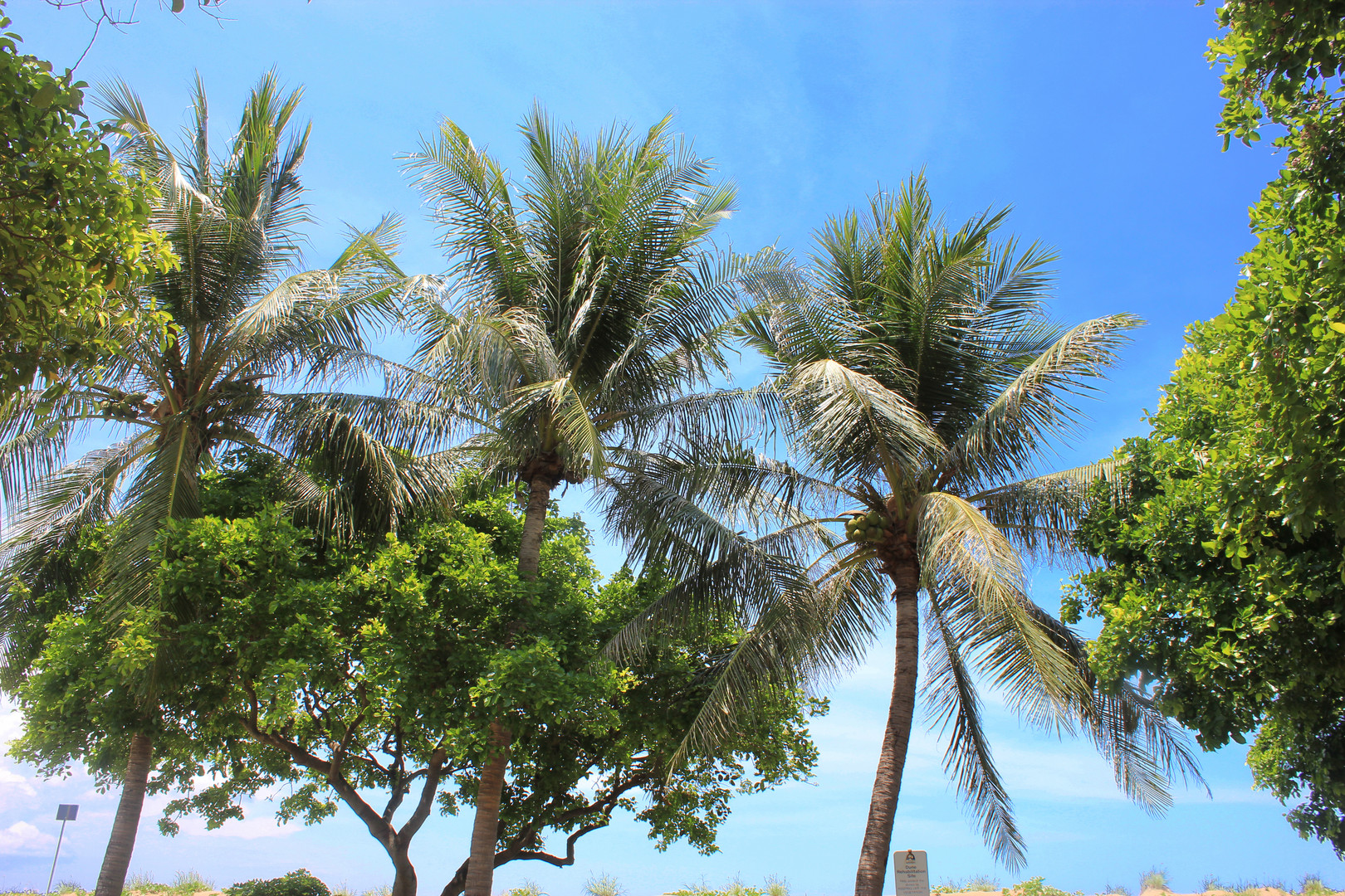 Mindil Beach, Darwin IX