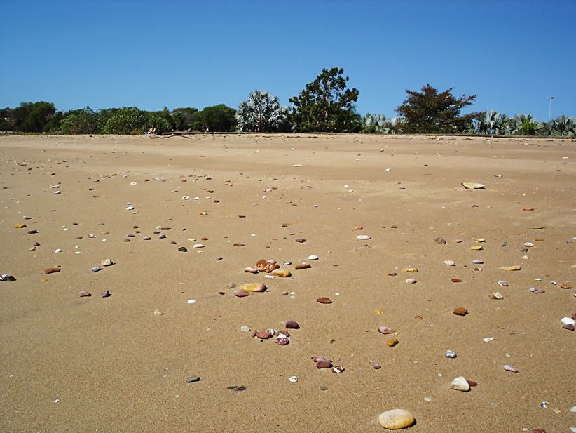 Mindil Beach