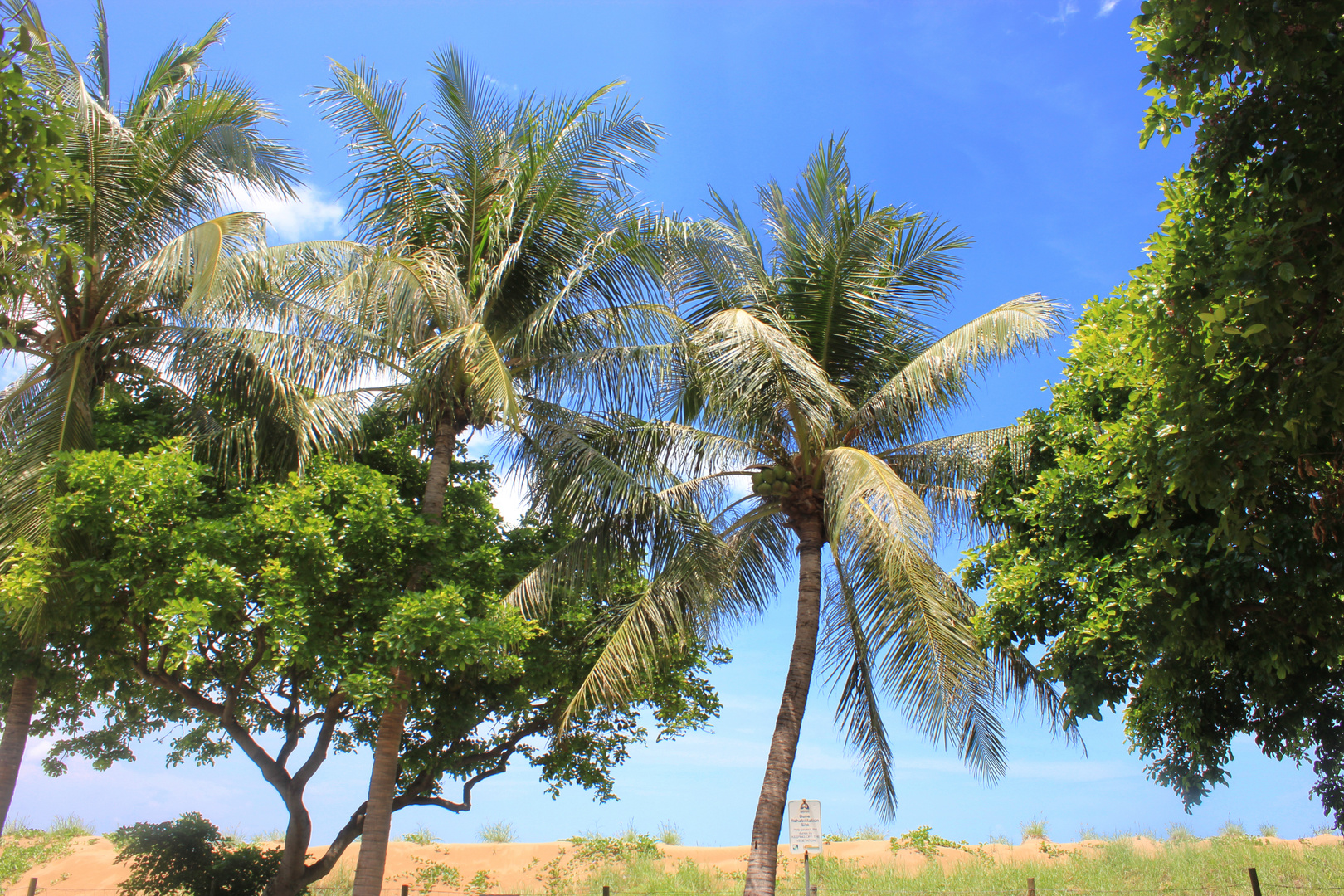 Mindil Beach Reserve, Darwin I