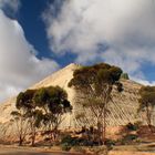 Mine Tailings