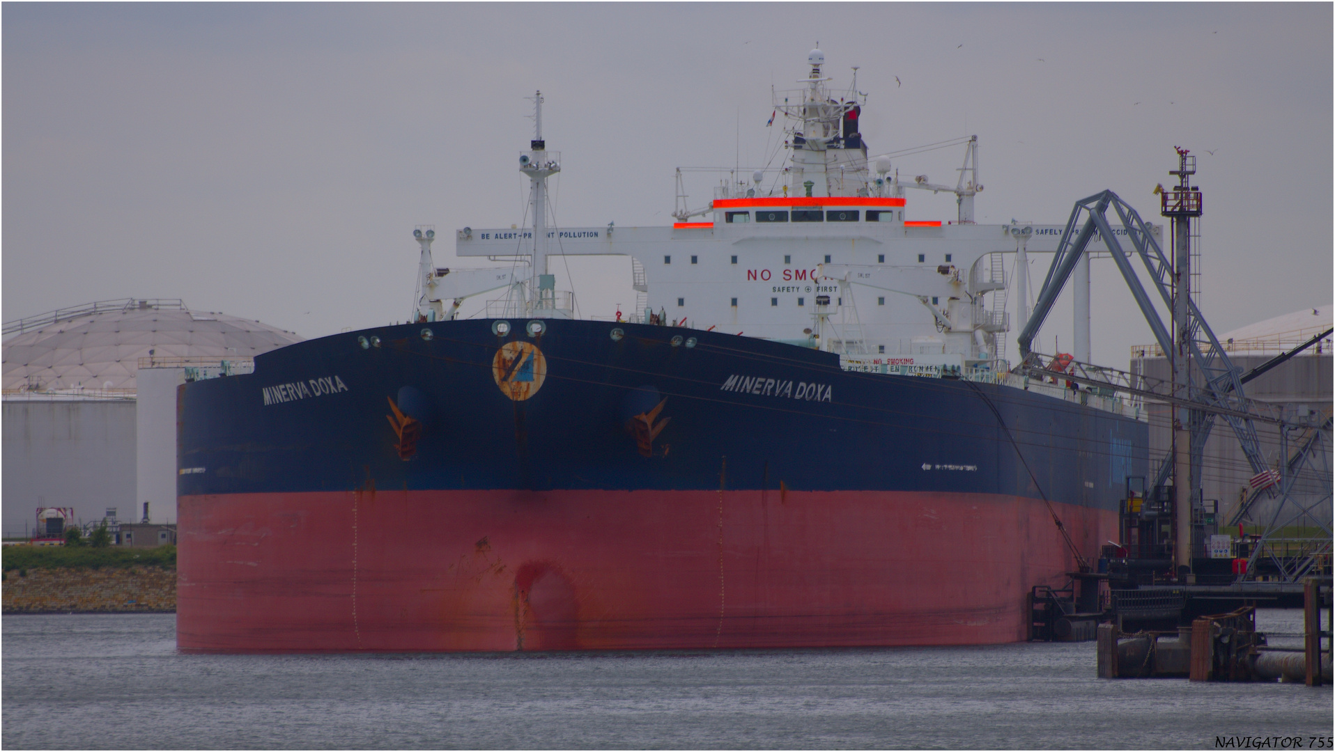 MINERVA DOXA / Tanker / Rotterdam